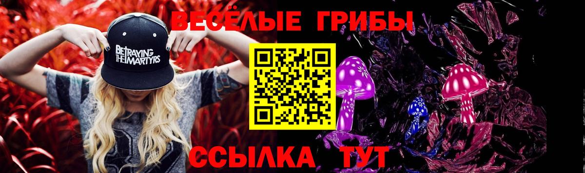 Псилоцибиновые грибы прущие грибы Нижний Тагил